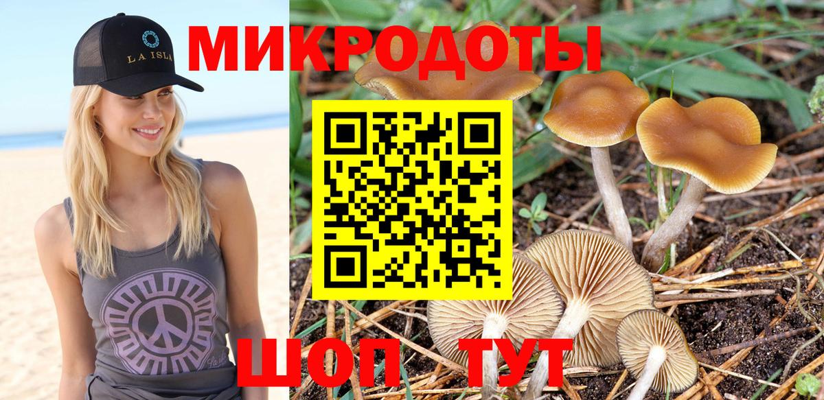 Галлюциногенные грибы Cubensis Владивосток