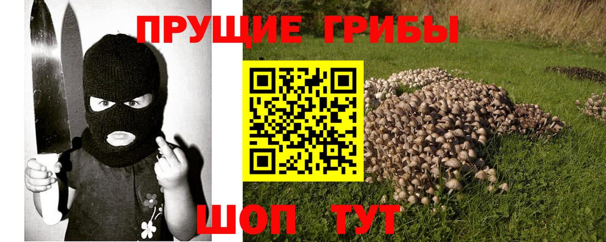 Владивосток  Галлюциногенные грибы прущие грибы  Вход с VPN 